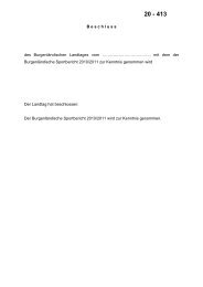 Zahl 20 - 413 - Burgenländischer Landtag