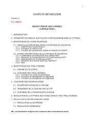 COURS DE METABOLISME BIOSYNTHESE DES LIPIDES ...