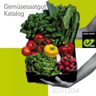Gemüsesaatgut Katalog - Enza Zaden