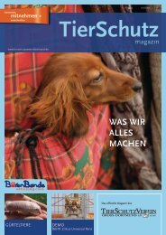 TierSchutzMagazin NR. 13 hier als PDF-Datei öffnen oder speichern.