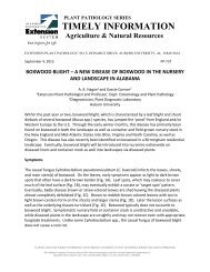 2013 Boxwood Blight TI Updated.pdf - Alabama Cooperative ...