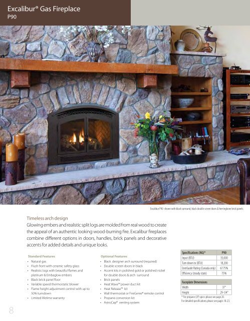 Traditional Gas Fireplaces - Regency Fireplace Products