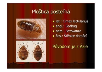 (Microsoft PowerPoint - Plo\232tica poste\276n\341-na ... - RUVZ BA