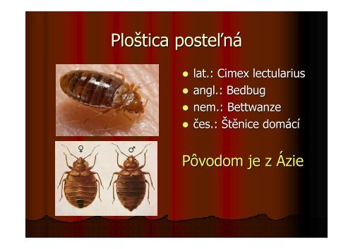 (Microsoft PowerPoint - Plo\232tica poste\276n\341-na ... - RUVZ BA