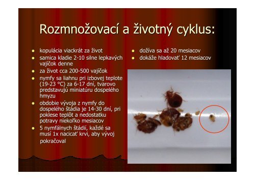 (Microsoft PowerPoint - Plo\232tica poste\276n\341-na ... - RUVZ BA