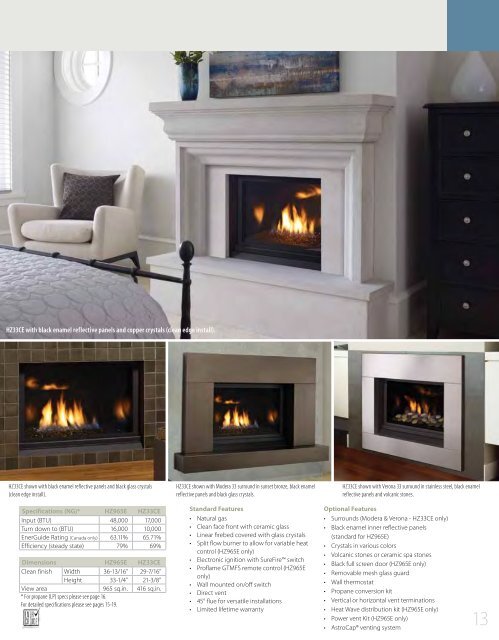 gas fireplaces - Regency Fireplace Products