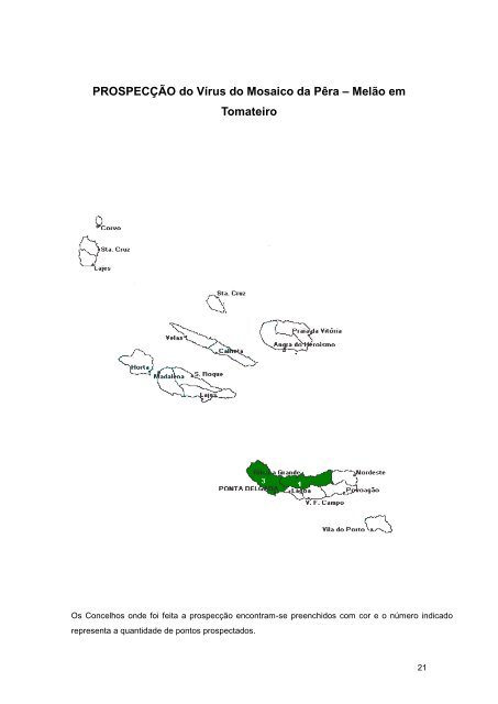 Relatório 2006 - Presidência do Governo Regional dos Açores