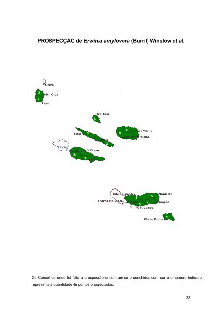 Relatório 2006 - Presidência do Governo Regional dos Açores