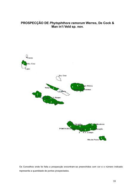 Relatório 2006 - Presidência do Governo Regional dos Açores