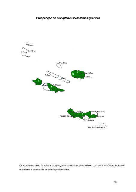 Relatório 2006 - Presidência do Governo Regional dos Açores