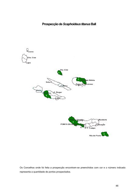 Relatório 2006 - Presidência do Governo Regional dos Açores