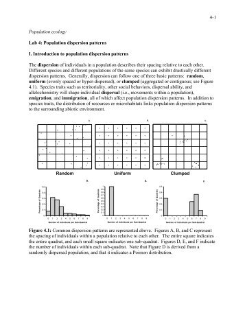 Population dispersion patterns I. Introduction to population dispersion