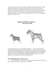 judging the schnauzer - 353kb -pdf - VicJudges