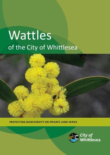 Wattles - City of Whittlesea