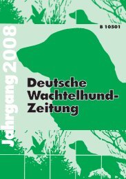 B 10501 - beim Verein für Deutsche Wachtelhunde
