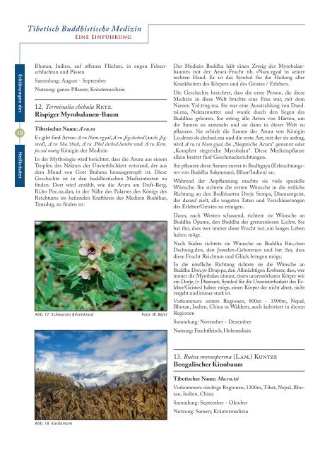 Tibetisch Buddhistische Medizin.pdf - Buddhistischer Garten