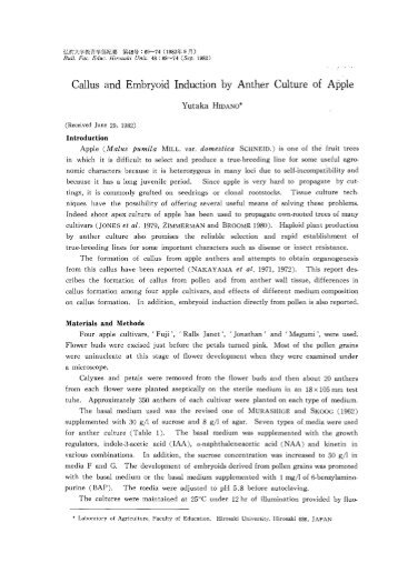 Callus and Embryoid Induction by Anther Culture of Apple