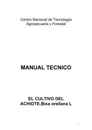 CNTAF-Manual Técnico del Achiote - CICH