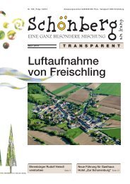 Luftaufnahme von Freischling - Schönberg am Kamp