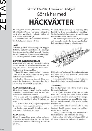 HÄCKVÄXTER HÄCKVÄXTER - Zetas