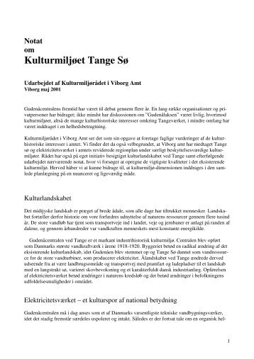 Kulturmiljøet Tange Sø