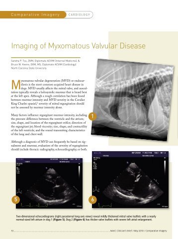 Imaging of Myxomatous Valvular Disease - Veterinary Team Brief