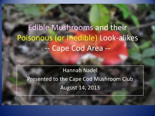 Mushroom_Look_alikes_on_Cape_Cod_-Hannah_Nadel.pdf 2.4 MB