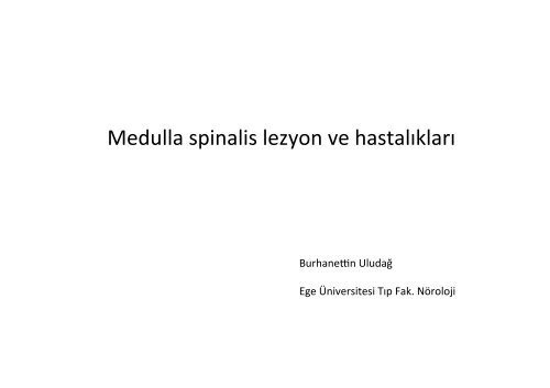 medulla spinalis