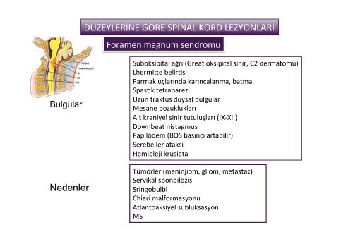 medulla spinalis