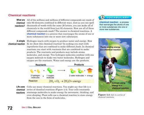 Cell Biology