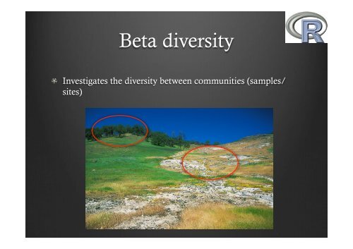Community Ecology analysis using R: basic intro