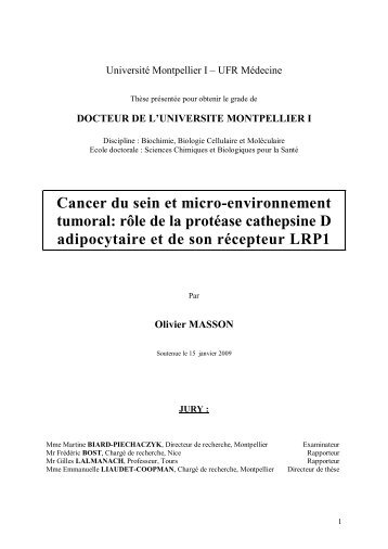 Cancer du sein et micro-environnement tumoral: rôle de la protéase ...