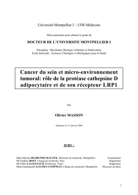 Cancer du sein et micro-environnement tumoral: rôle de la protéase ...