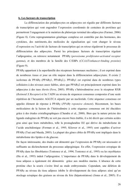 Cancer du sein et micro-environnement tumoral: rôle de la protéase ...