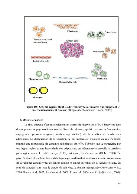 Cancer du sein et micro-environnement tumoral: rôle de la protéase ...