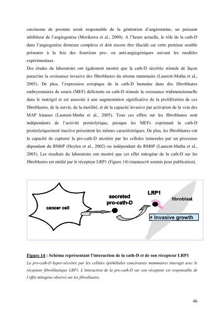 Cancer du sein et micro-environnement tumoral: rôle de la protéase ...