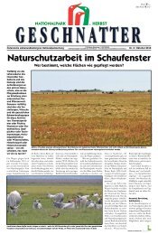 Geschnatter Oktober/2012 - Nationalpark Neusiedler See Seewinkel