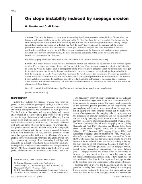 On slope instability induced by seepage erosion - Ingegneria ...