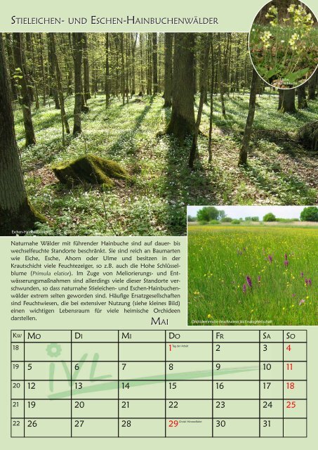 potentielle natürliche vegetation deutschlands und ... - IVL