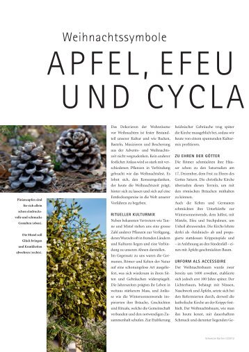 Weihnachtssymbole (PDF 1368 kb) - personal-eden.com