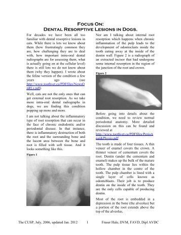 Focus on: Dental Resorptive Lesions in Dogs - Hale Veterinary Clinic