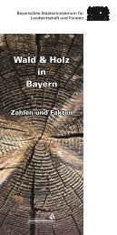 Wald & Holz in Bayern - WBV Viechtach