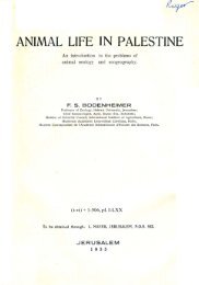 Bodenheimer, F.S. 1935. Animal Life in Palestine. Jerusalem: L ...