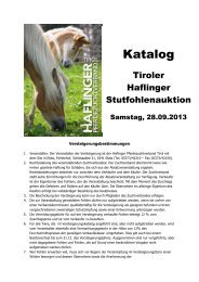 Katalog - Haflinger Tirol