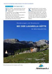 BEI DER LAVARELLA HÜTTE - Almenrausch