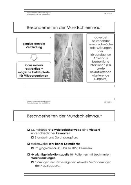 mundschleimhauterkrankungen bertl ws 2012 teil 1.pdf - fabulare