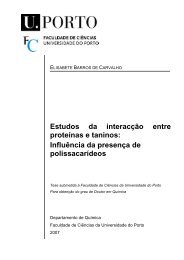 Tese - Faculdade de Ciências - Universidade do Porto