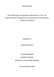 Gesamt Druckfertig Final.pdf - Fehler/Fehler - Universität Bielefeld