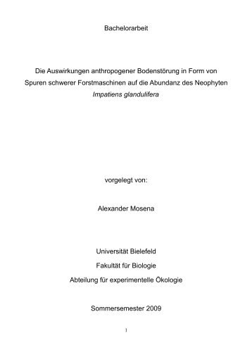 Gesamt Druckfertig Final.pdf - Fehler/Fehler - Universität Bielefeld