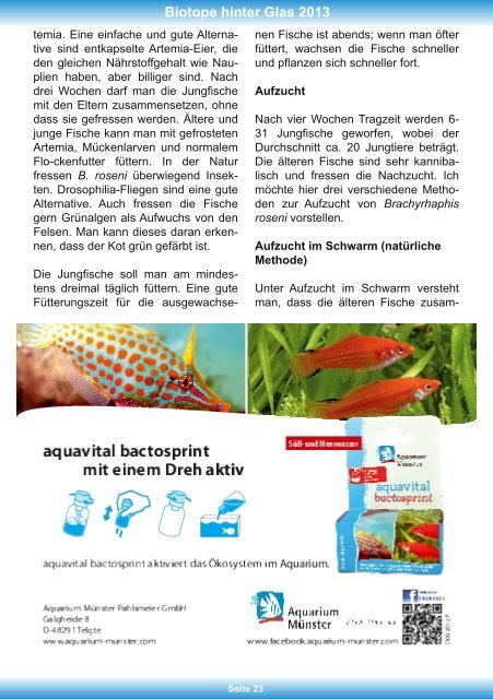 Biotope hinter Glas - Aquarien- und Terrarienverein im ...